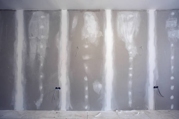  Braidwood, IL Drywall & Painting Services Pros